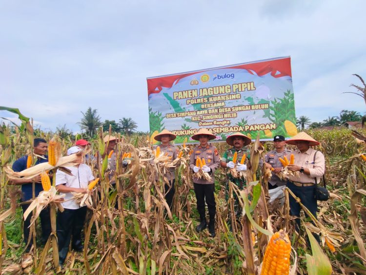 Desa Sungai Buluh Panen Jagung Kapolres AKBP Hidayat Turun Langsung Dukung Asta Cita Presiden RI