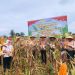 Desa Sungai Buluh Panen Jagung Kapolres AKBP Hidayat Turun Langsung Dukung Asta Cita Presiden RI