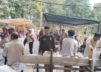 Warga Desa Koto Baru Singingi Hilir Sembelih 89 Sapi Kurban di Idul Adha 1447 H