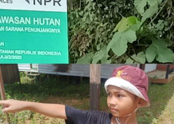 Anak 7 Tahun Menangis Melihat Kebun Karetnya di garap PT NPR,Dimana Presiden dan Kapolri Jangan Tutup Mata 