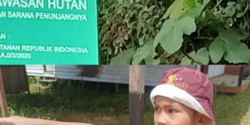 Anak 7 Tahun Menangis Melihat Kebun Karetnya di garap PT NPR,Dimana Presiden dan Kapolri Jangan Tutup Mata 
