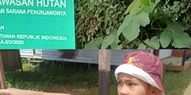 Anak 7 Tahun Menangis Melihat Kebun Karetnya di garap PT NPR,Dimana Presiden dan Kapolri Jangan Tutup Mata 