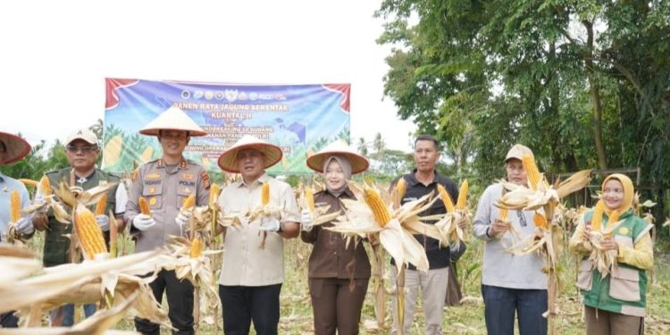 Kapolres Kuansing Apresiasi Kepada Petani atas Keberhasilan Panen Jagung Serentak Kuartal II 2026