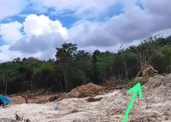 Sewa Lahan Capai Rp. 300. Juta, Excavator Milik Dekri Beraktivitas untuk PETI di Petapahan Guntor