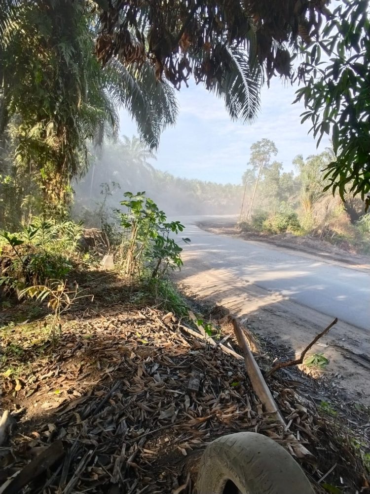 Resah Debu Menggunung, Warga Desa Petai Desak Kontraktor Segera Aspal Jalan