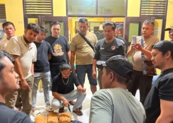 Polda Sumbar bersama Polres Pasaman Barat Ringkus Pria Inisial JA Bawa Puluhan Paket Ganja Kering ini keteranganya