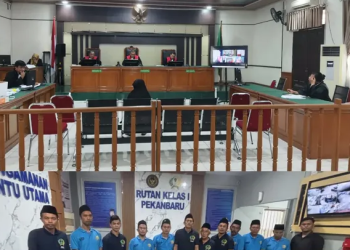 JPU Kejari Pelalawan Menggelar Serangkaian Sidang Tindak Pidana Khusus Perkara Pupuk Subsidi di PN Pekanbaru ini rangkainya